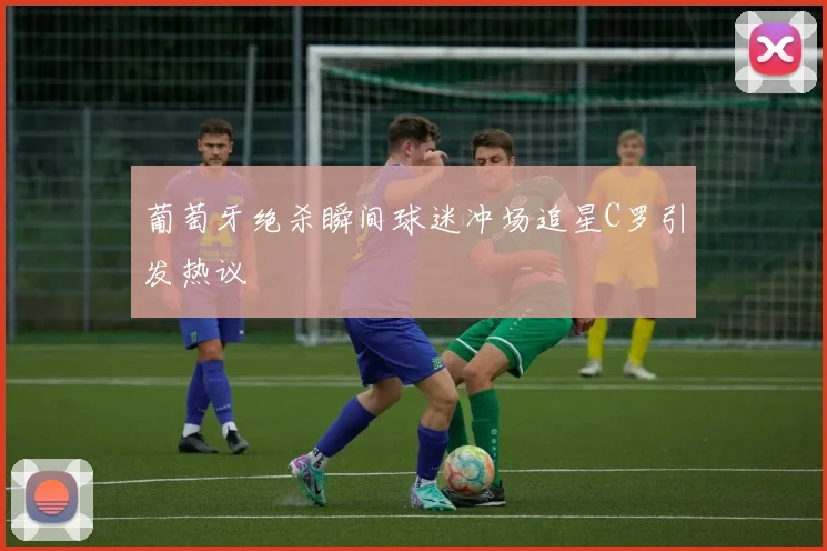 葡萄牙绝杀瞬间球迷冲场追星C罗引发热议