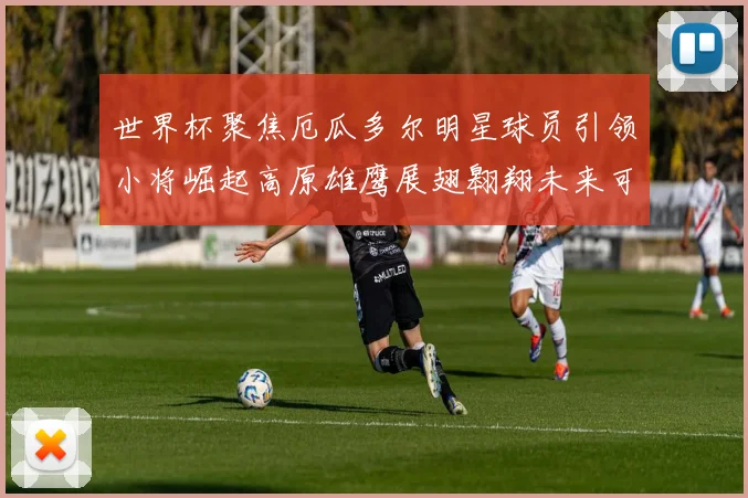 世界杯聚焦厄瓜多尔明星球员引领小将崛起高原雄鹰展翅翱翔未来可期
