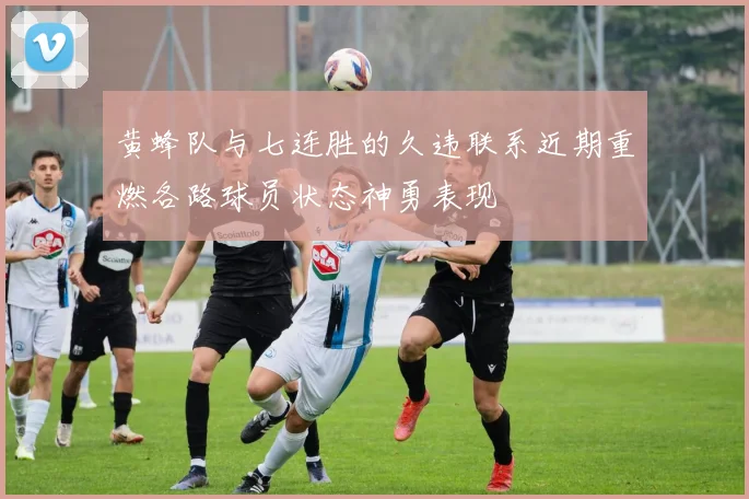 黄蜂队与七连胜的久违联系近期重燃各路球员状态神勇表现